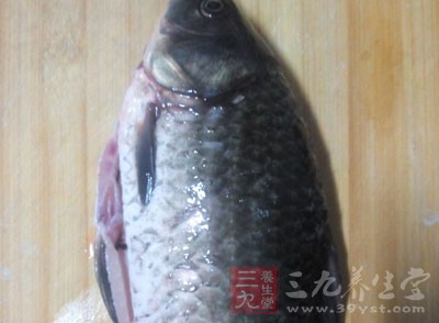 鲫魚200克、雞蛋3個、料酒5克、姜5克 鲫魚200克、雞蛋3個、料酒5克、姜5克