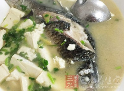 鲫魚湯的做法和營養 鲫魚湯的做法和營養