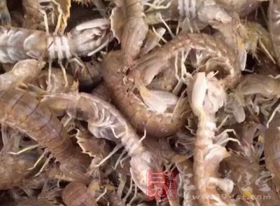 蝦的做法好多 蝦的做法好多