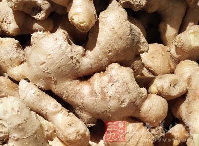 烹制這道菜,我不喜歡放姜,感覺姜的味道與蝦的味道不相配 烹制這道菜,我不喜歡放姜,感覺姜的味道與蝦的味道不相配