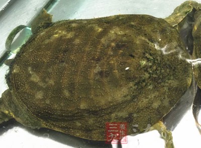 原料：甲魚1只、豬油、蒜仔60克、大蔥20克