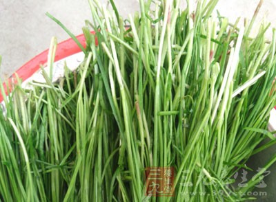 夏天的韭菜是最鮮嫩美味的