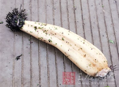 蓮藕含有多種養分，如維生素、碳水化合物等