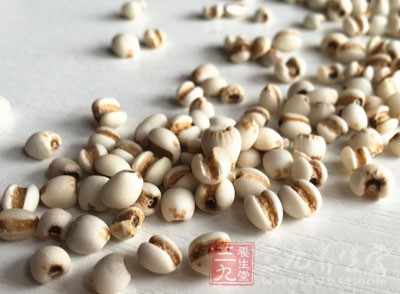 薏仁的功效很多