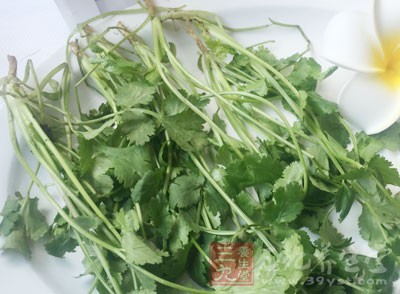 拌好的豬耳朵呈盤,再放上少許香菜段即可 拌好的豬耳朵呈盤,再放上少許香菜段即可