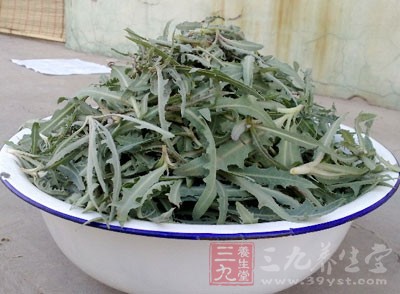 其實苦苦菜不僅僅可以清涼解毒消炎利尿 其實苦苦菜不僅僅可以清涼解毒消炎利尿