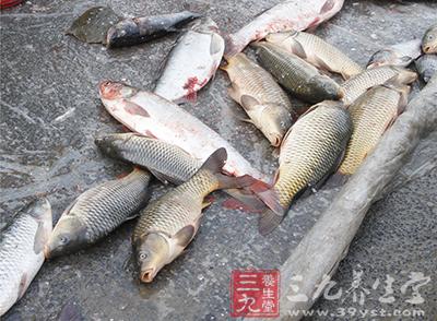 將鮮鯉魚100克、川椒15克