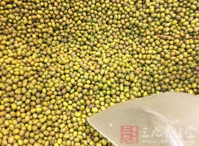 綠豆富含維生素B 綠豆富含維生素B