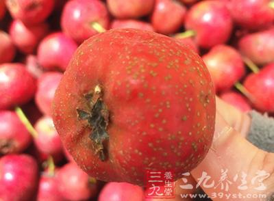 淮山4錢、山楂2錢