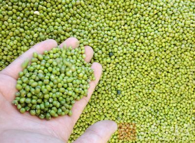 綠豆本身是一味中藥 綠豆本身是一味中藥