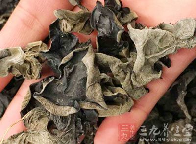 干木耳泡發後切末,胡蘿卜、瘦肉、芥藍菜頭、香菜和蔥全切成末 干木耳泡發後切末,胡蘿卜、瘦肉、芥藍菜頭、香菜和蔥全切成末