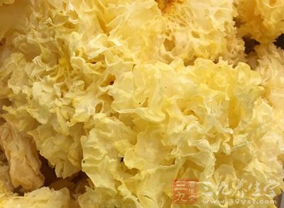 銀耳富含維生素D,能防止鈣的流失 銀耳富含維生素D,能防止鈣的流失