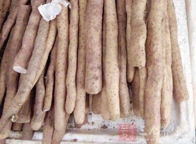 山藥能健脾益腎,補虛,腎虛的人適宜時常食用 山藥能健脾益腎,補虛,腎虛的人適宜時常食用