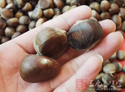 栗子能補脾健胃,宜腎養陽,腎虛腰痛者最宜食用 栗子能補脾健胃,宜腎養陽,腎虛腰痛者最宜食用