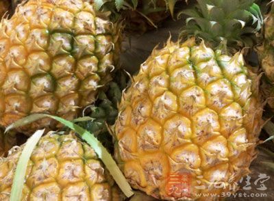酸甜的菠蘿搭配清新的薄荷，它絕對是夏日最佳果盤