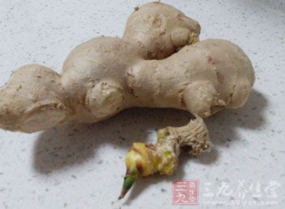 猴頭菇3朵,小黃瓜1條,水2大匙,姜3片,干辣椒4條 猴頭菇3朵,小黃瓜1條,水2大匙,姜3片,干辣椒4條