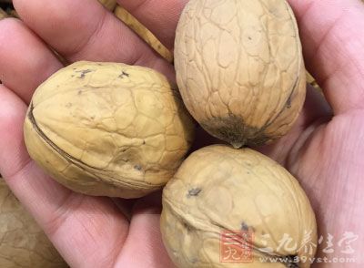白土司2片,苦甜巧克力90公克,綜合堅果20公克,蘭姆酒1大匙 白土司2片,苦甜巧克力90公克,綜合堅果20公克,蘭姆酒1大匙