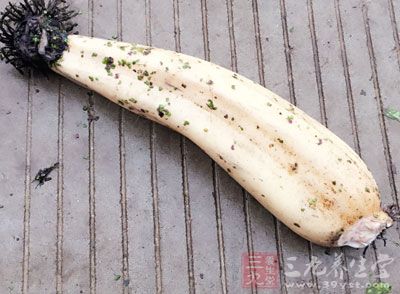 蘆筍一把,蓮藕1根,豆豉2湯匙,小米椒6根,大蒜3瓣,花椒1小把 蘆筍一把,蓮藕1根,豆豉2湯匙,小米椒6根,大蒜3瓣,花椒1小把
