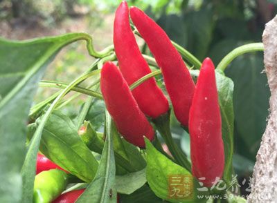 腐竹、黑木耳、香菜、紅辣椒、大蒜、生抽、香醋、胡椒粉、鹽、辣椒油、香油 腐竹、黑木耳、香菜、紅辣椒、大蒜、生抽、香醋、胡椒粉、鹽、辣椒油、香油