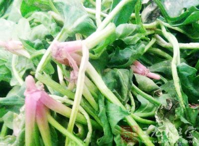 菠菜520g,鹿茸骨片上湯適量,油適量,雞粉適量,食鹽適量 菠菜520g,鹿茸骨片上湯適量,油適量,雞粉適量,食鹽適量