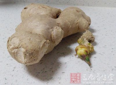 菠菜,奶油,姜,咖喱粉 菠菜,奶油,姜,咖喱粉