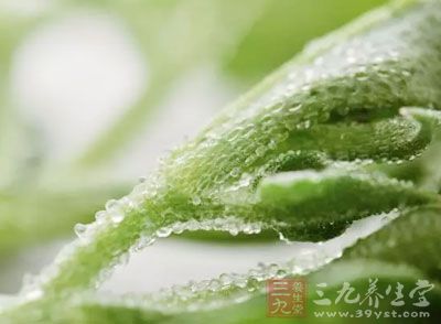 冰菜300克,香醋2大匙,鹽適量,香油少許 冰菜300克,香醋2大匙,鹽適量,香油少許