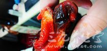 經常這樣做蝦吃連老婆都誇你腎髒好