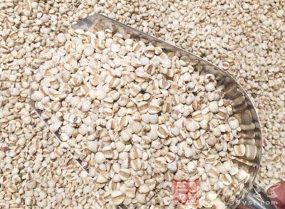 薏米粥的做法有很多，其中可以搭配一些我們喜歡的食物