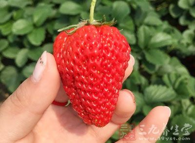 清紅茶120毫升，冰塊120克，糖水25毫升，彩色珍珠粉圓適量，鮮草莓1個