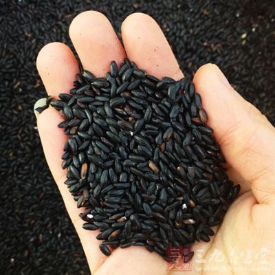 真正好的黑米,泡後的湯汁應該是紅色的 真正好的黑米,泡後的湯汁應該是紅色的