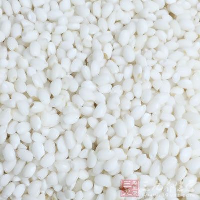 大米200g,糯米100g,綠豆100g,海藻芽30g 大米200g,糯米100g,綠豆100g,海藻芽30g