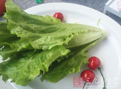 生菜的營養價值很高 生菜的營養價值很高