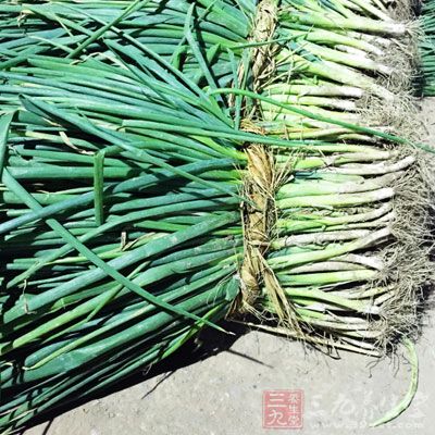 蛏子500克、香蔥1根、紅黃椒碎少許