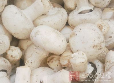 蘑菇的創意做法 蘑菇的創意做法