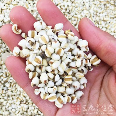 需要薏苡仁15克,粳米50克 需要薏苡仁15克,粳米50克