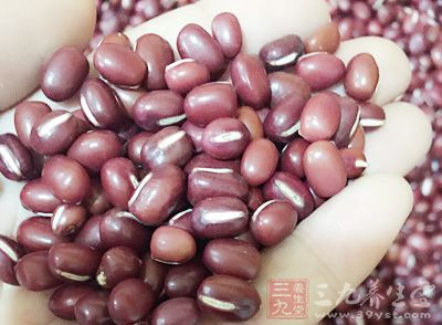 准備薏米仁、赤小豆、紅棗、龍眼肉 准備薏米仁、赤小豆、紅棗、龍眼肉