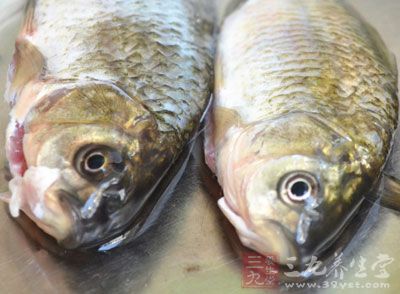魚肉一斤半左右、姜絲適量、生抽適量、料酒適量、鹽適量、澱粉一大勺 魚肉一斤半左右、姜絲適量、生抽適量、料酒適量、鹽適量、澱粉一大勺