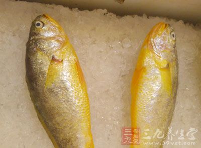 黃花魚,蔥段,姜絲,姜絲 黃花魚,蔥段,姜絲,姜絲