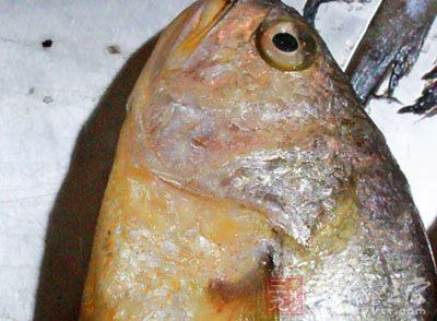 黃花魚,鹽,油,料酒,生抽少許,大蒜5瓣,蔥段,姜片少許 黃花魚,鹽,油,料酒,生抽少許,大蒜5瓣,蔥段,姜片少許
