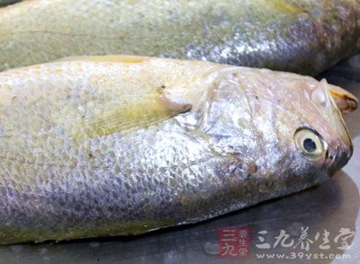 黃花魚的做法很多 黃花魚的做法很多