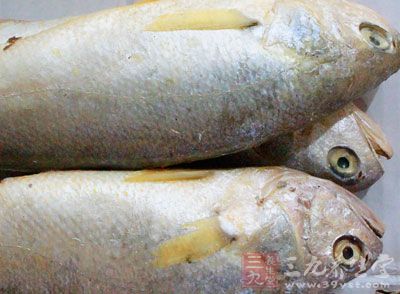 煎黃花魚也有很多種,不知道大家喜歡什麼樣的口味 煎黃花魚也有很多種,不知道大家喜歡什麼樣的口味