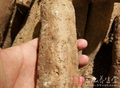 排骨300克,山藥500克,姜10克,鹽少許,料酒50毫升,枸杞30克 排骨300克,山藥500克,姜10克,鹽少許,料酒50毫升,枸杞30克