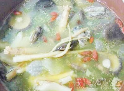 香菇炖雞湯 香菇炖雞湯