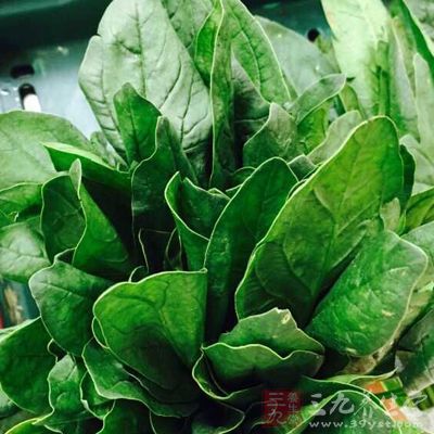 小油菜的鈣含量超過同樣重量的牛奶