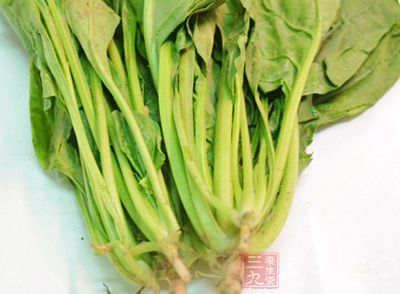 菠菜中富含的維生素K是骨鈣的形成要素