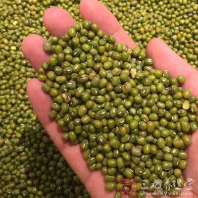 陳皮1片，綠豆60g，蜜棗3粒，鹽1茶匙5g