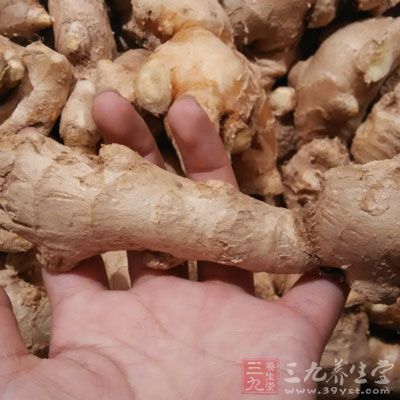 橄榄6個、陳皮1/3個、水魚200~250克、生姜3片