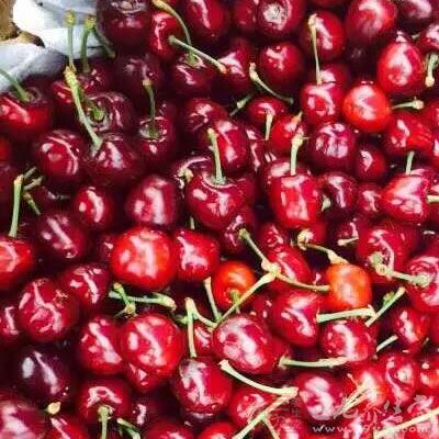 牛奶一盒，蛋黃2個，魚膠粉10g，適量水，白糖，自己喜歡的水果