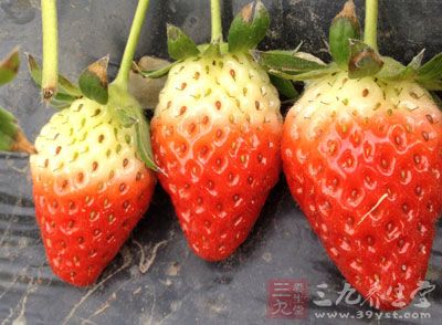 草莓200g，低筋面粉240g，奶粉2大匙，B.細砂糖25g
