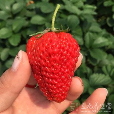 草莓500克，白糖50克，冰糖10粒